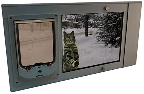 Algopix Similar Product 18 - Security Boss Animate Electronic