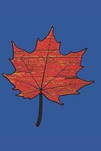 Don't Worry: Let tomorrow worry about itself