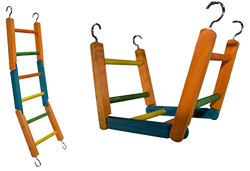 Algopix Similar Product 19 - Exotic Nutrition Bendable Funky Ladder