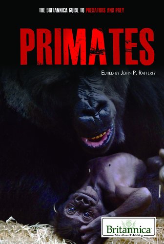 Primates by John P. Rafferty  (Editor)