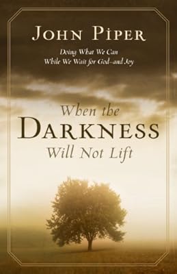 When the Darkness Will not Lift: Doing What We Can While We Wait for God - and Joy