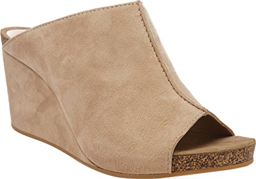 Algopix Similar Product 9 - 