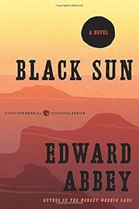 Black Sun: A Novel