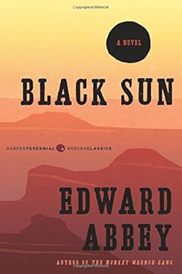 Black Sun: A Novel