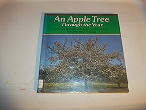 An Apple Tree Through the Year