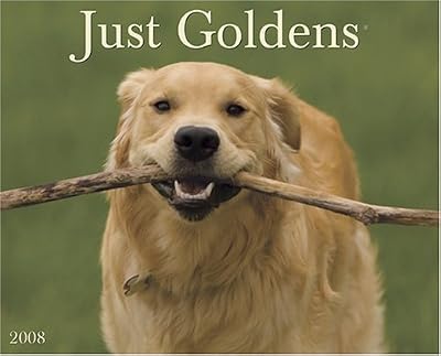 Just Goldens 2008 Calendar
