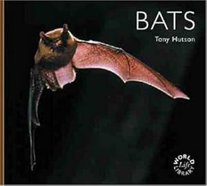 Bats (WLL) by Tony Hutson