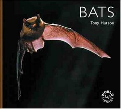 Bats (WLL)