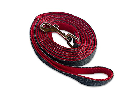 Buddy & Co. Classic Denim & Nylon Dog Leash 6ft 5/8-inch