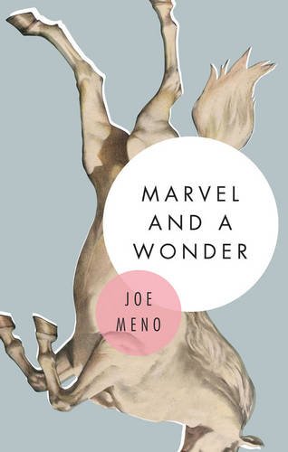 Marvel and a Wonder by Joe Meno