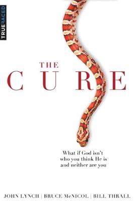 The Cure: What if God isn't who you think He is and neither are you?