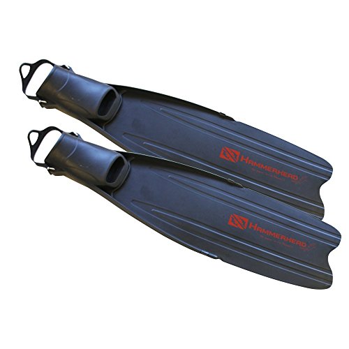 Algopix Similar Product 17 - 