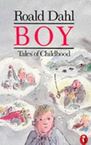Boy: Tales of Childhood