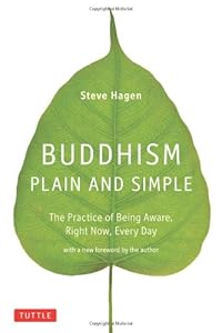 Buddhism Plain &amp; Simple: The Practice of Being Aware, Right Now, Every Day