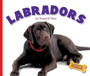 Labradors (Domestic Dogs)