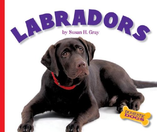 Labradors (Domestic Dogs) by Susan Heinrichs Gray