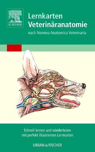 Algopix Similar Product 10 - Lernkarten VeterinaranatomieVeterinary