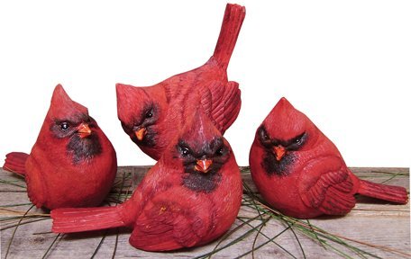 Cardinal - Figurine Set of 4 - Country Realistic Resin Figures