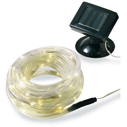 Algopix Similar Product 12 - Promier Products IC6100ROP12 100LED