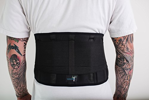 Algopix Similar Product 1 - HotCold Back Support Brace Lumbar