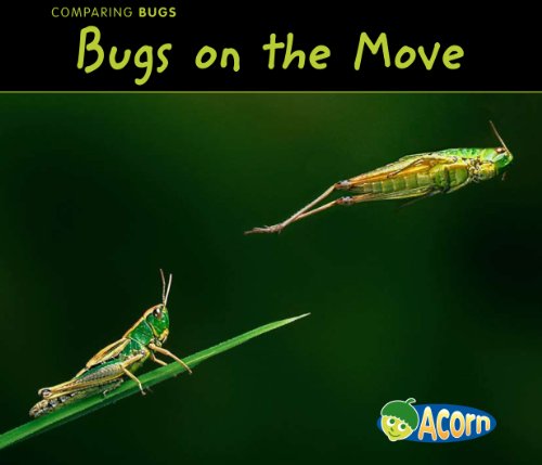 Bugs on the Move by Charlotte Guillain