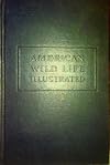 American Wildlife Illustrated