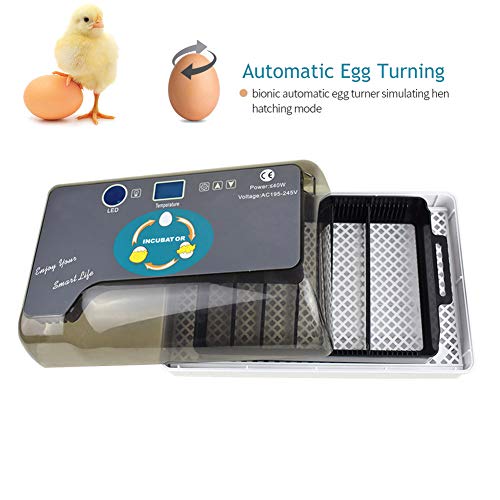 Algopix Similar Product 5 - Upgraded Egg Incubator Automatic