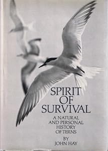 Spirit of survival;: A natural and personal history of terns (A Sunrise book)