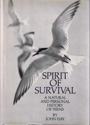 Spirit of survival;: A natural and personal history of terns (A Sunrise book) by John Hay
