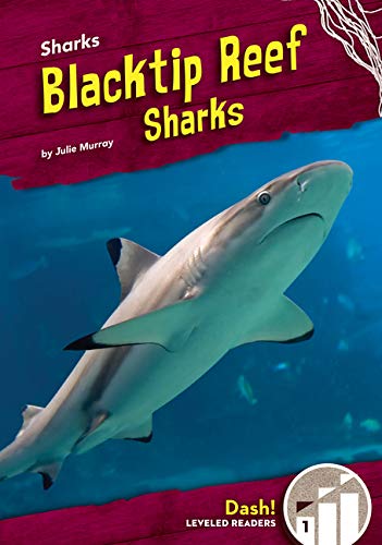 Blacktip Reef Sharks (Sharks: Dash!, Level 1) by Julie Murray