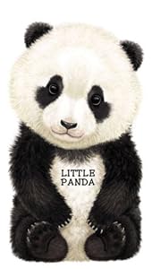 Little Panda