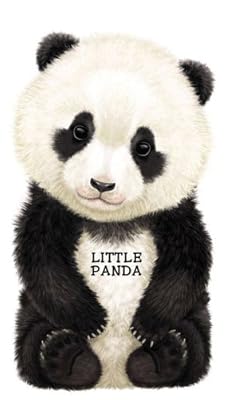 Little Panda