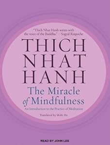 The Miracle of Mindfulness: An Introduction to the Practice of Meditation