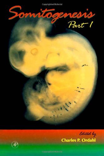 Somitogenesis, Part 1 (Volume 47) (Current Topics in Developmental Biology, Volume 47) by Charles P. Ordahl