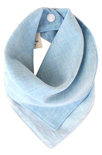 kishu baby Organic Bandana Bib Reversible, Blue, One Size