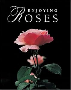 Enjoying Roses