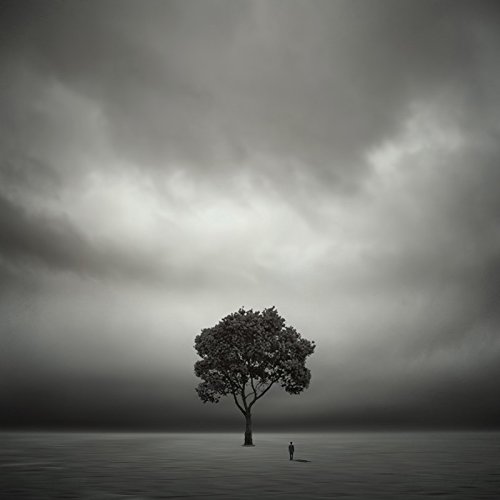 

About A Tree