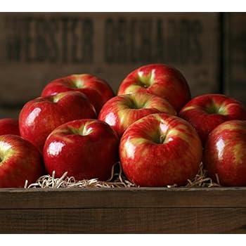 honeycrisp apples - 7 lb