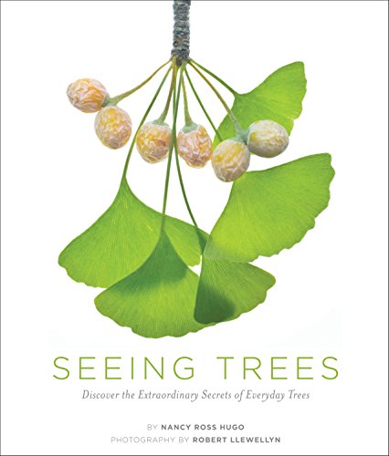 Seeing Trees: Discover the Extraordinary Secrets of Everyday Trees by Robert Llewellyn