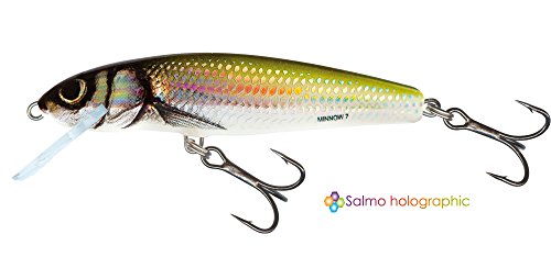 Algopix Similar Product 18 - Salmo Minnow Lure Crankbait HBL Holo