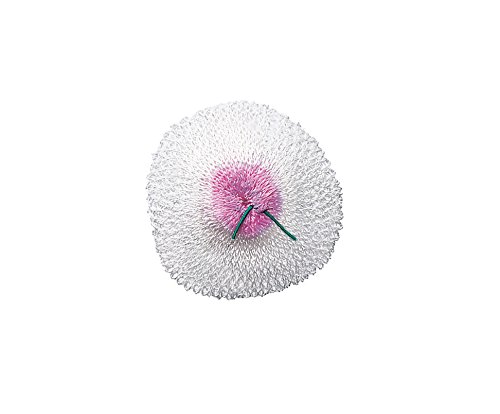 Algopix Similar Product 7 - Coleman - Mantles for 226 lantern