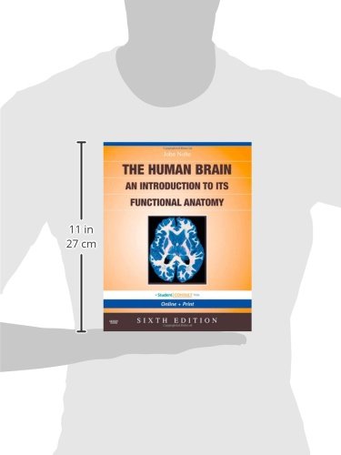 Buy The Human Brain: An Introduction to Its Functional Anatomy Online ...