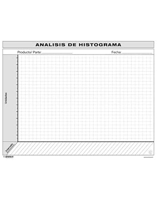 VSM Histogram Analysis (Spanish)