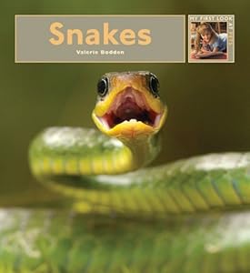 Snakes