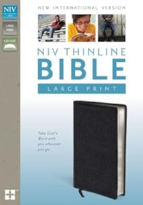 NIV Thinline Bible, Large Print