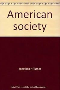 American society: Problems of structure