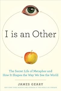 I Is an Other: The Secret Life of Metaphor and How It Shapes the Way We See the World