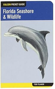 Florida Seashore & Wildlife