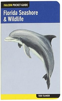 Florida Seashore & Wildlife