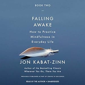 Falling Awake: How to Practice Mindfulness in Everyday Life